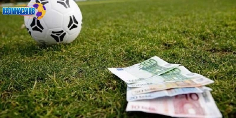 Bạn cần tìm hiểu thông tin trận đấu kỹ càng