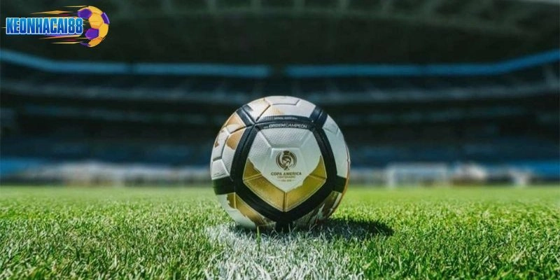 Tỷ lệ tại nền tảng vô cùng chính xác