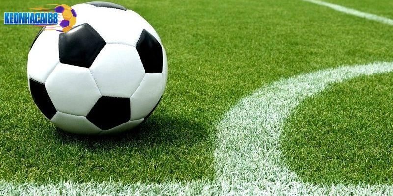 Kèo 1x2 Keonhacai5 là gì?