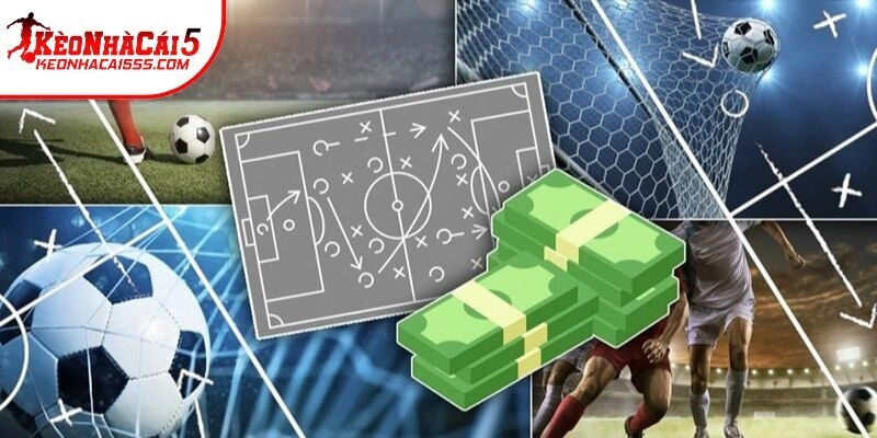 Bí kíp cá cược của cao thủ săn cực phẩm đổi đời