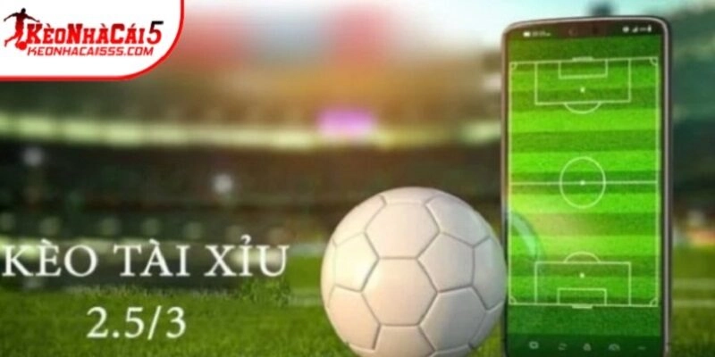 Khám phá chi tiết khái niệm của mức kèo tài xỉu 2.5-3
