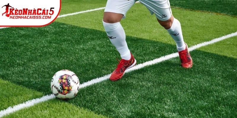 Chúng tôi luôn có những người kiểm chứng uy tín