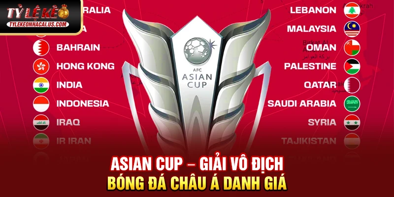 Asian Cup – Giải vô địch bóng đá châu Á danh giá
