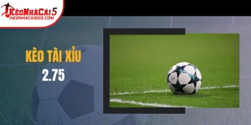 Kèo tài xỉu 2.5-3 | Cách đọc dễ hiểu và mẹo chơi cược 2025